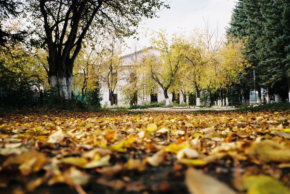 Photograph by Михаил Васьков