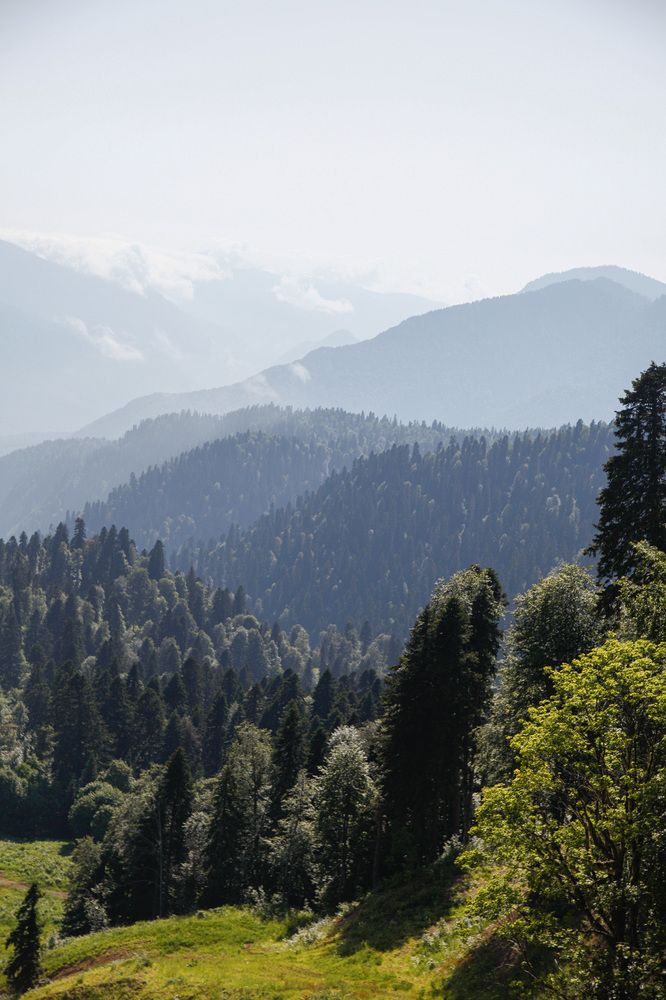 Photograph by Юлия Горчакова