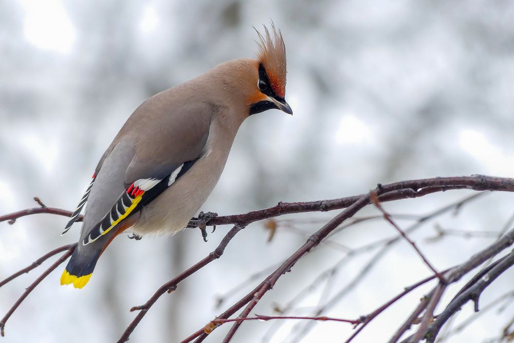 Photograph by Ян Адамсон