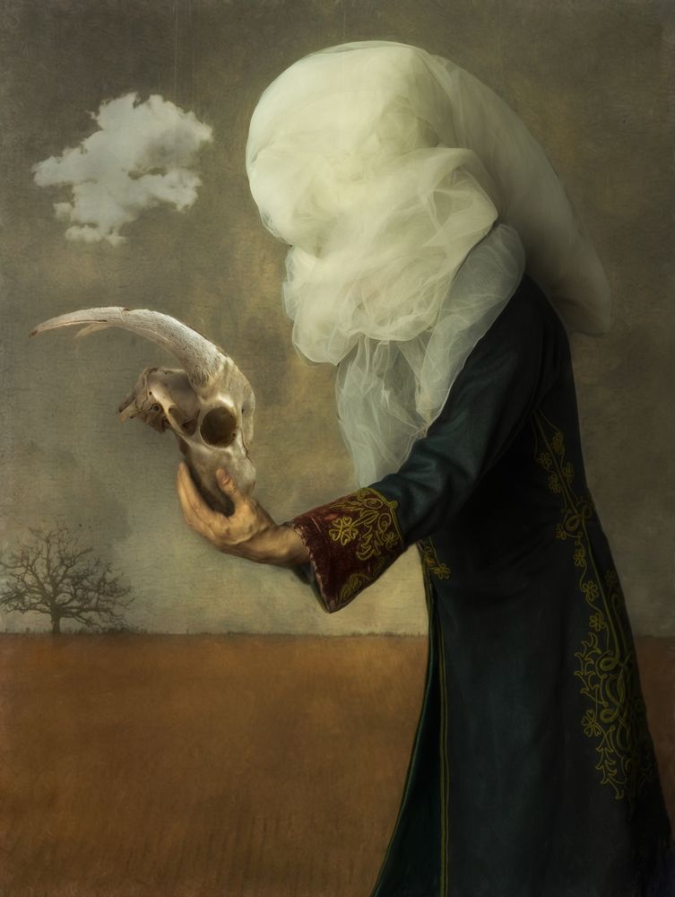 Photograph by ovidiu horneac