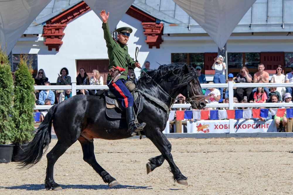 Фотография автора Светлана Долотова