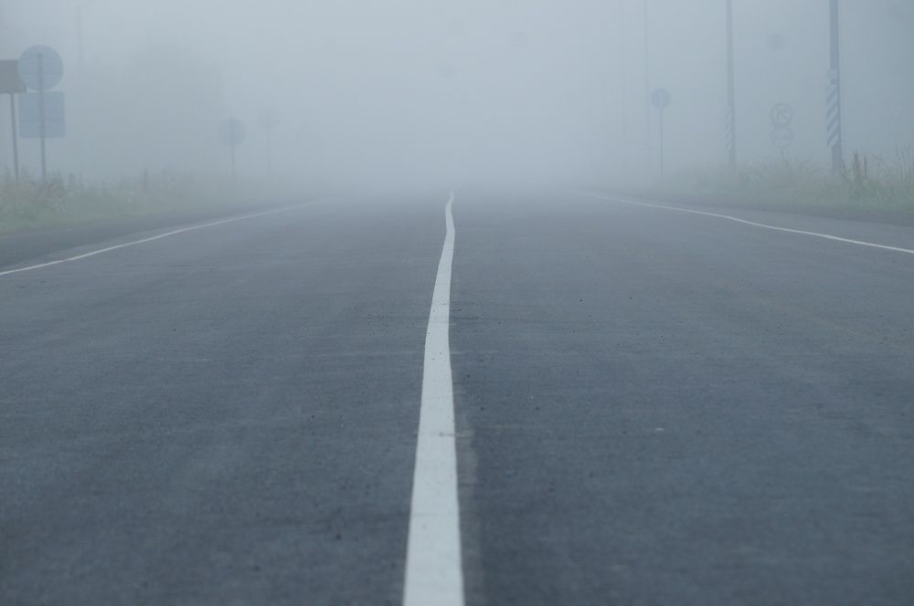 Photograph by Игорь Тамми