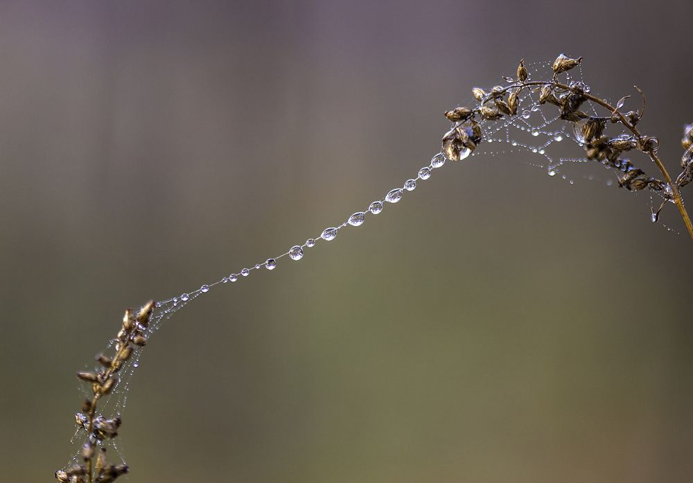 Фотография автора Andrey Pristyazhnyuk