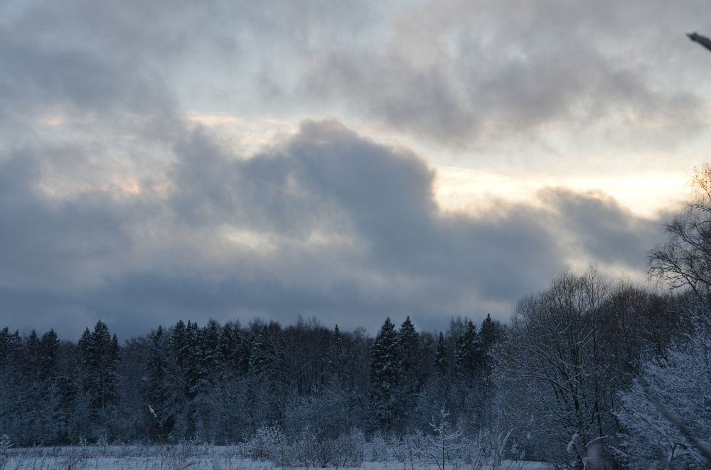 Photograph by Лина Лимарева