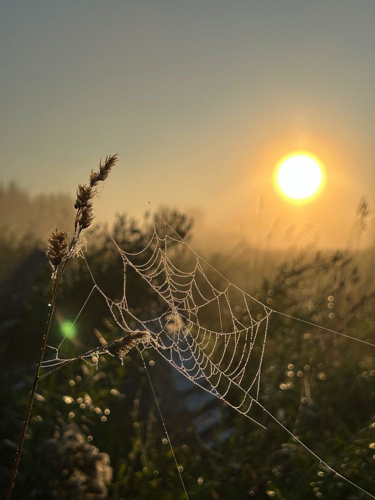 Photograph by Юлия Горчакова
