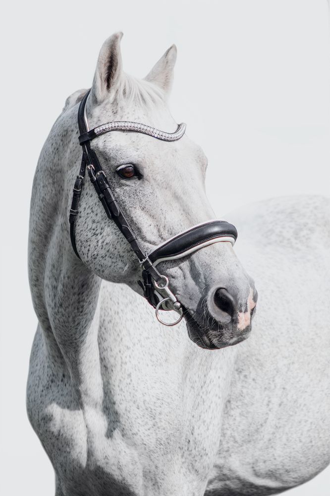 Photograph by Полина Фрольцова