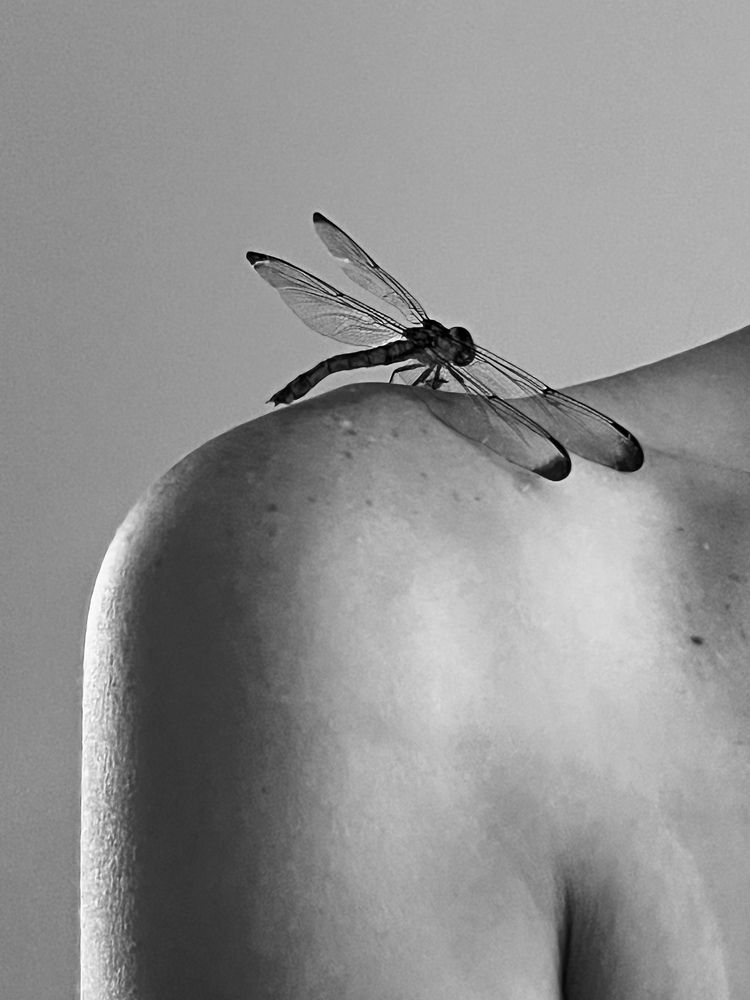 Фотография автора Veera Holdai