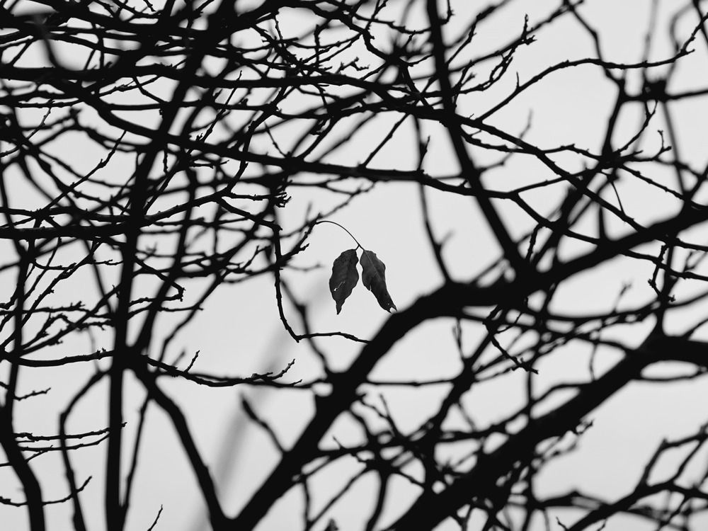 Фотография автора King Lok Chan