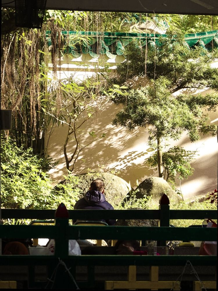 Фотография автора King Lok Chan