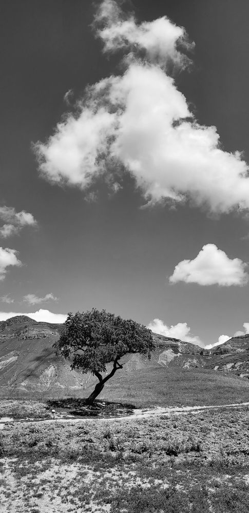 Photograph by Алла