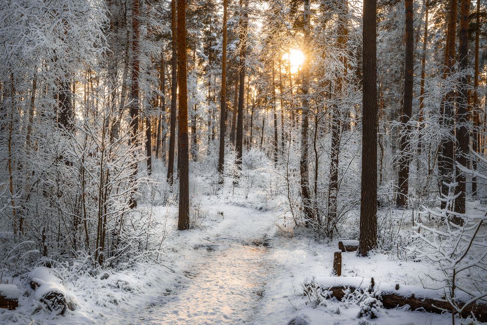 Фотография автора Валерий Лушин