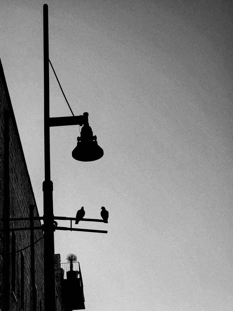 Фотография автора Galina Israilov