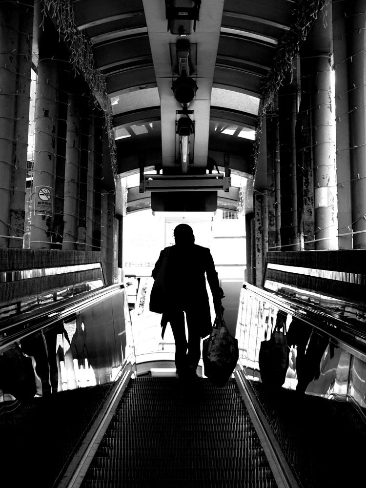 Фотография автора King Lok Chan