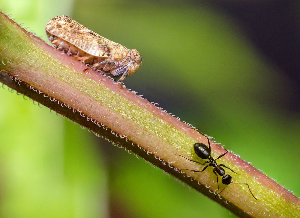 Photograph by Sahar Jafari