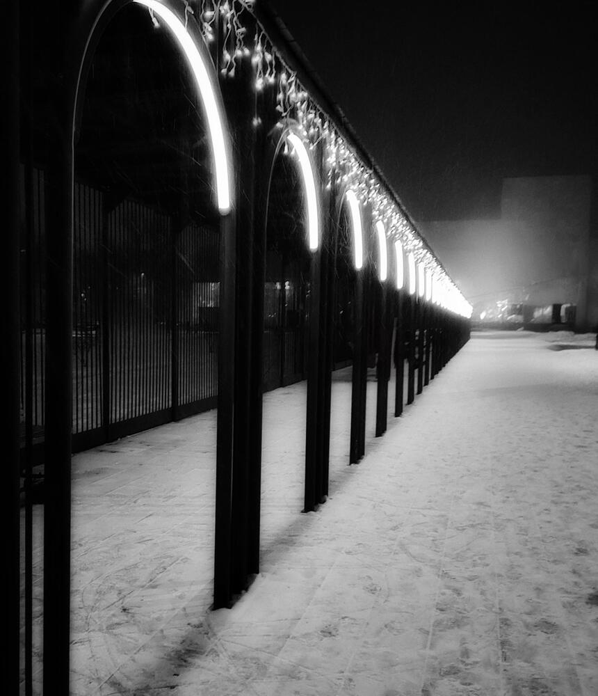 Photograph by Полина