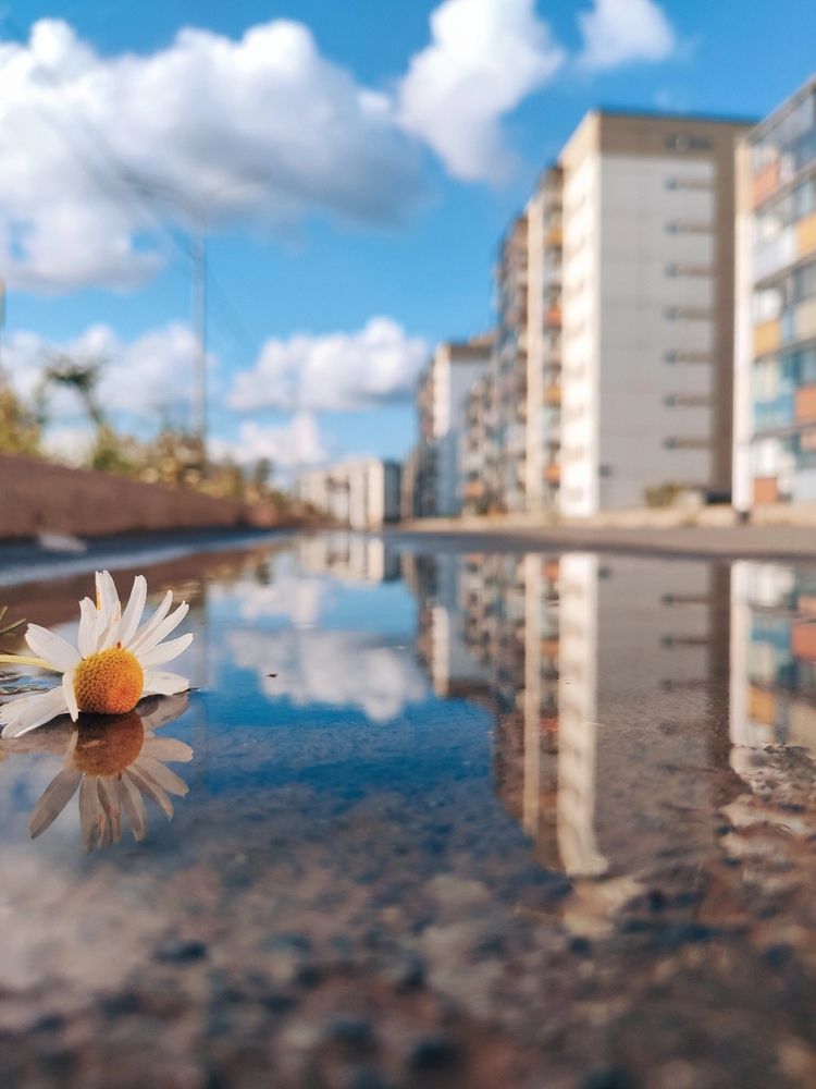 Фотография автора Елена Кузьмичева