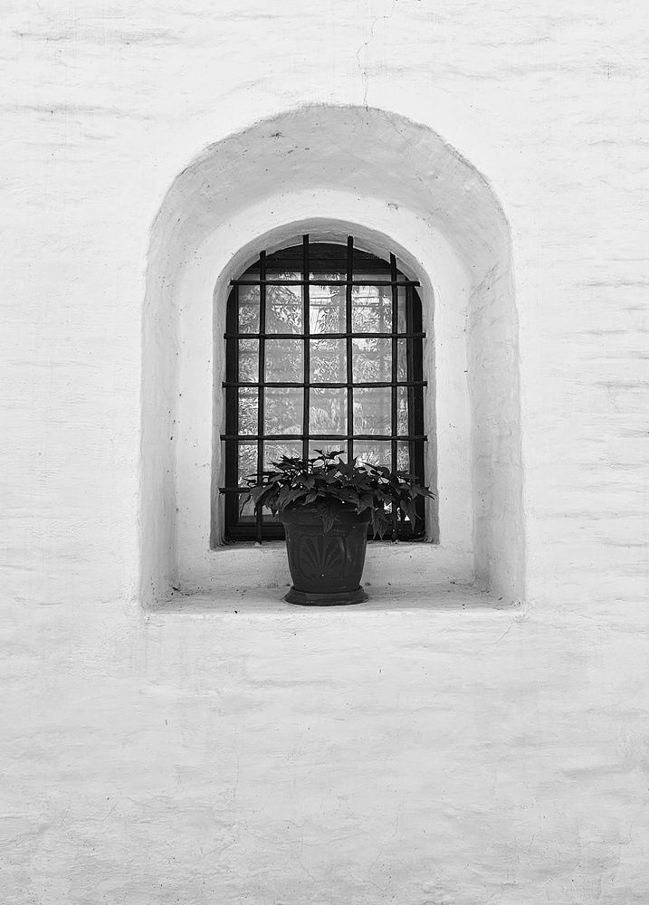 Photograph by Анастасия Алтабаева