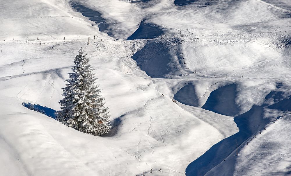 Photograph by Андрей Гринев