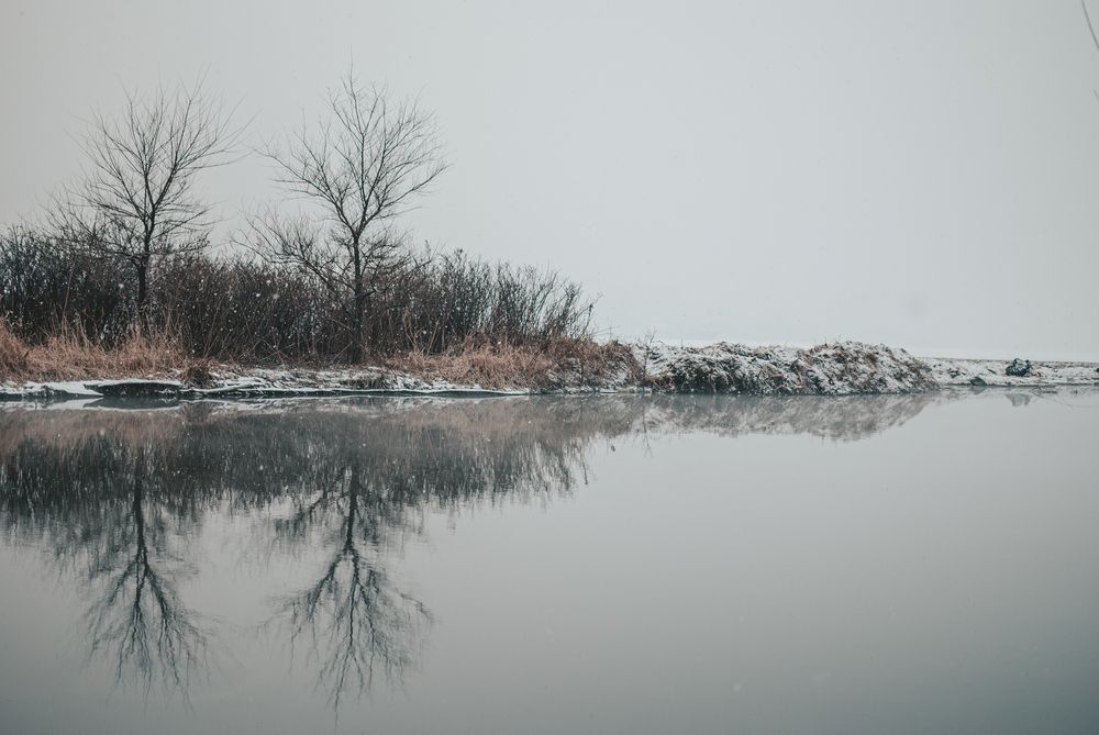 Photograph by Дарья Бурдина