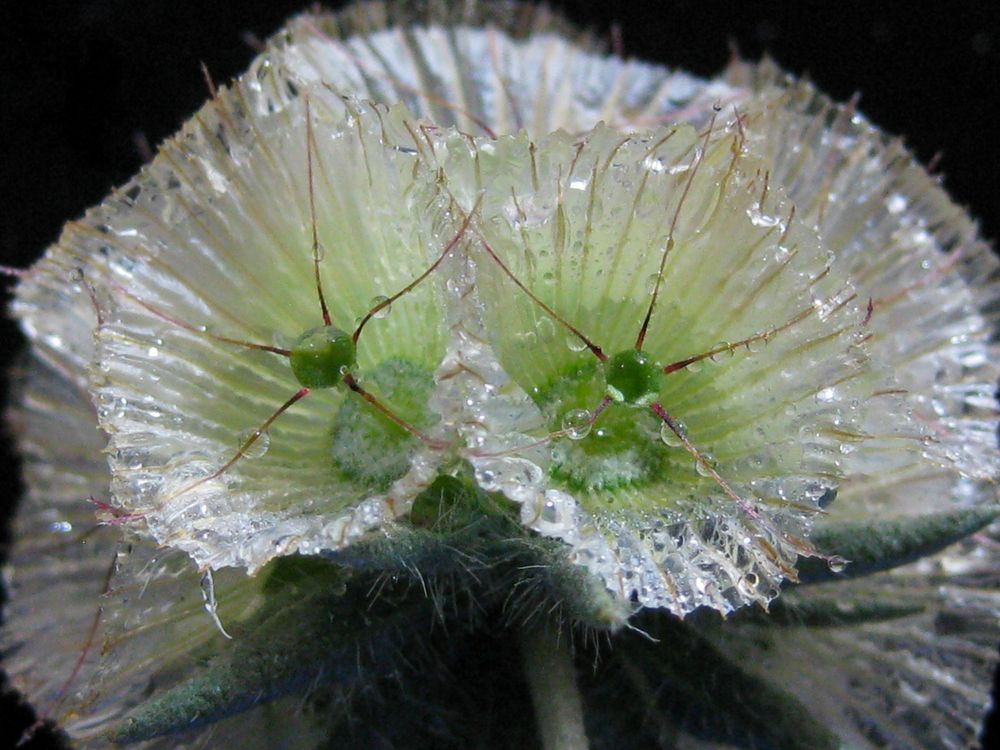 Photograph by MM Khojasteh