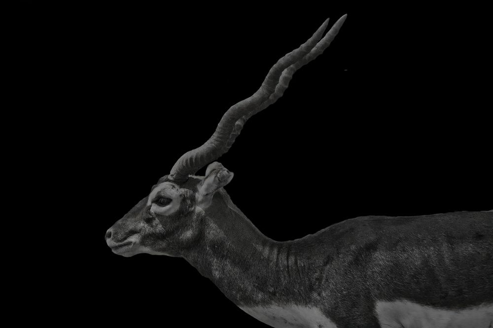 Photograph by Anshuman Tiwari