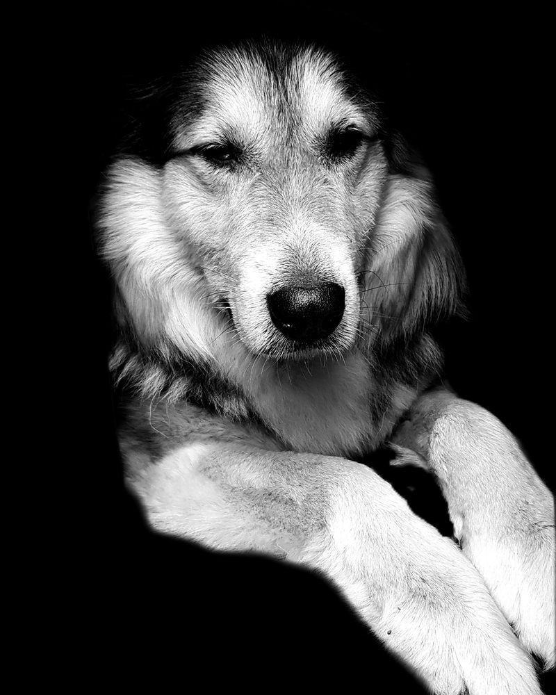 Photograph by Егор Жук