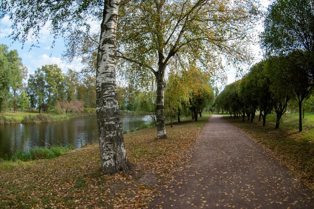 Осень
