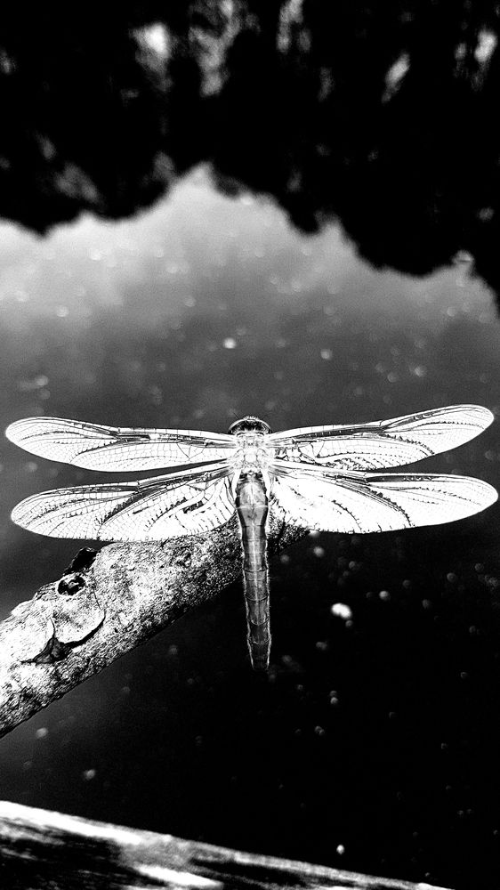 Photograph by Егор Жук