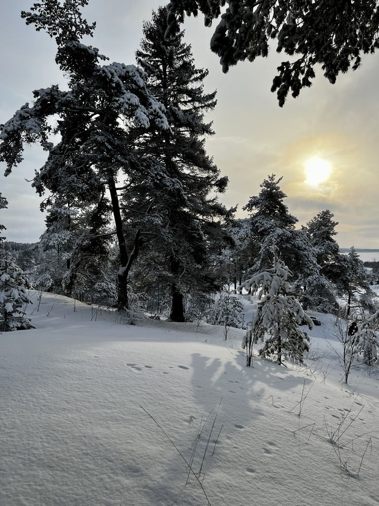 Photograph by Нина Савихина