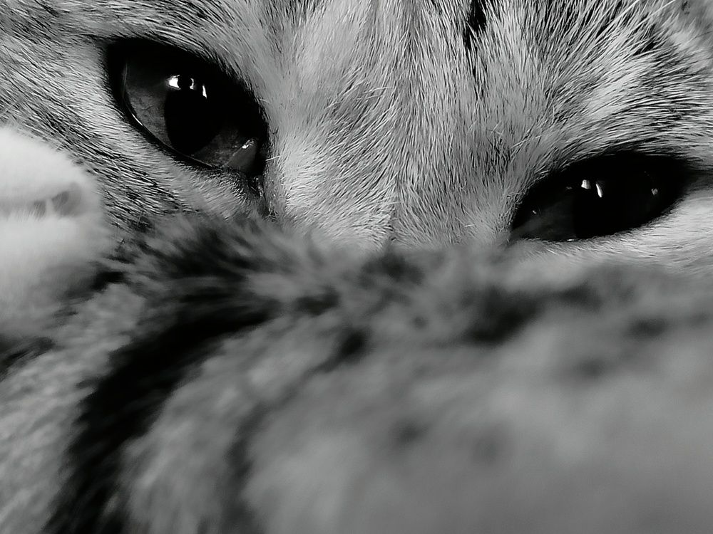 Photograph by Зульфия Набиуллина