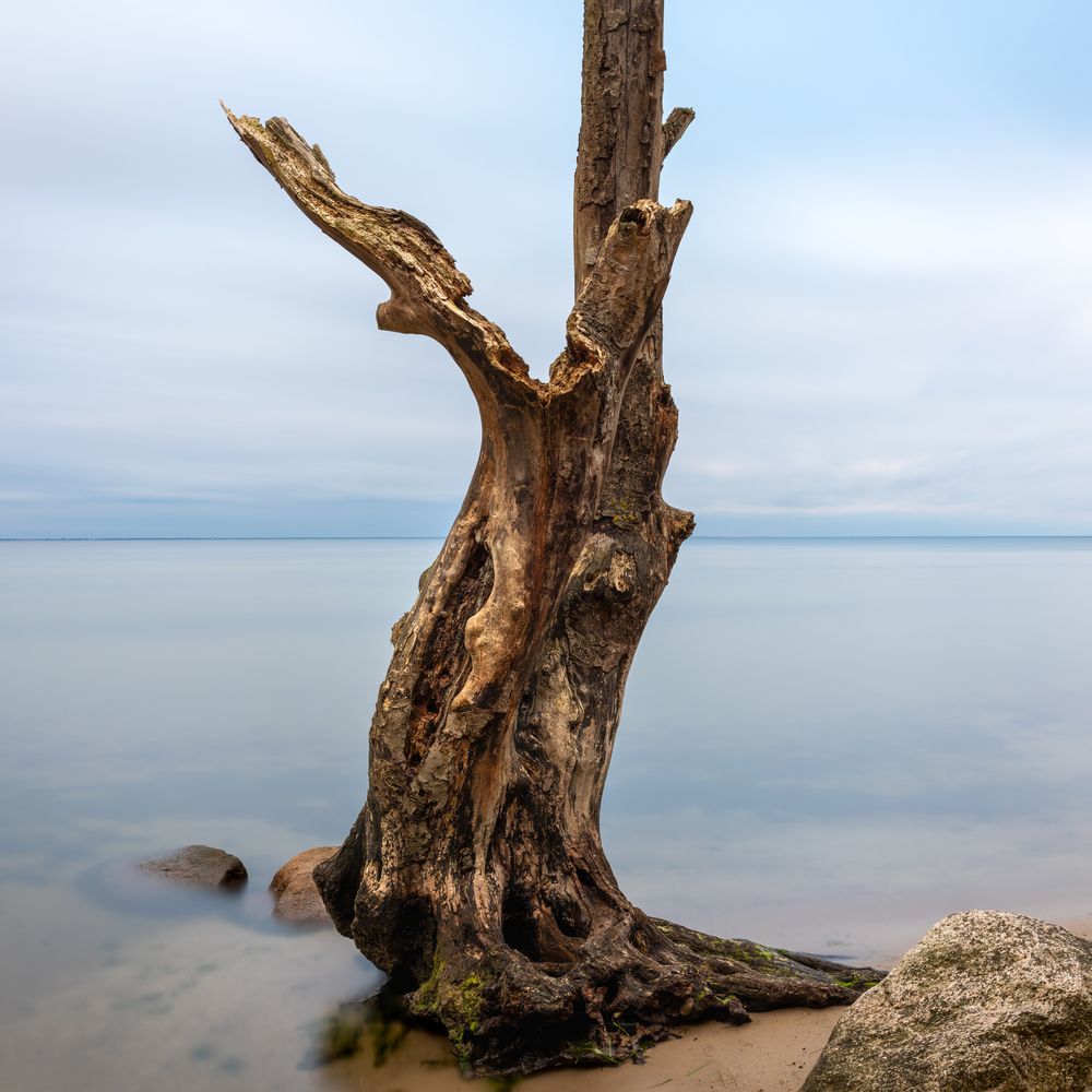 Photograph by Tomasz Dunajski