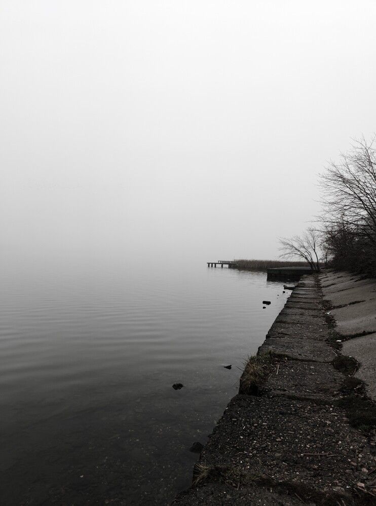 Photograph by Ксения Шилина