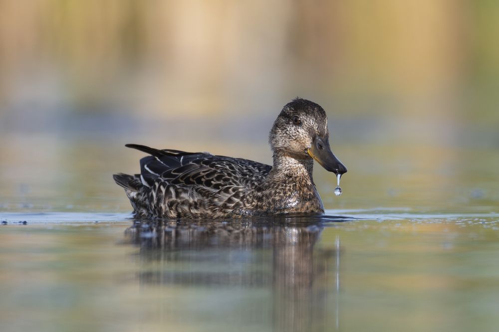 Photograph by Федорако Дмитрий