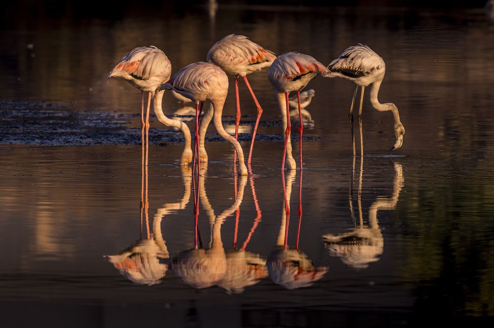 Photograph by Sunil Dhar