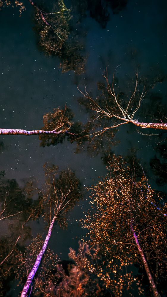 Photograph by Виктория Махова