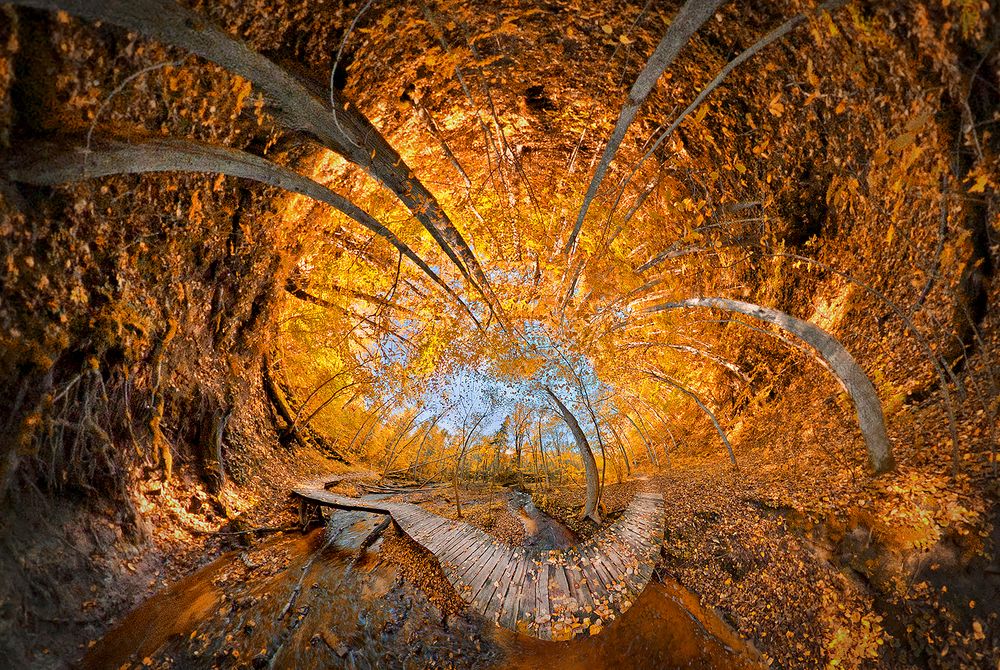 Photograph by Андрей Гринев