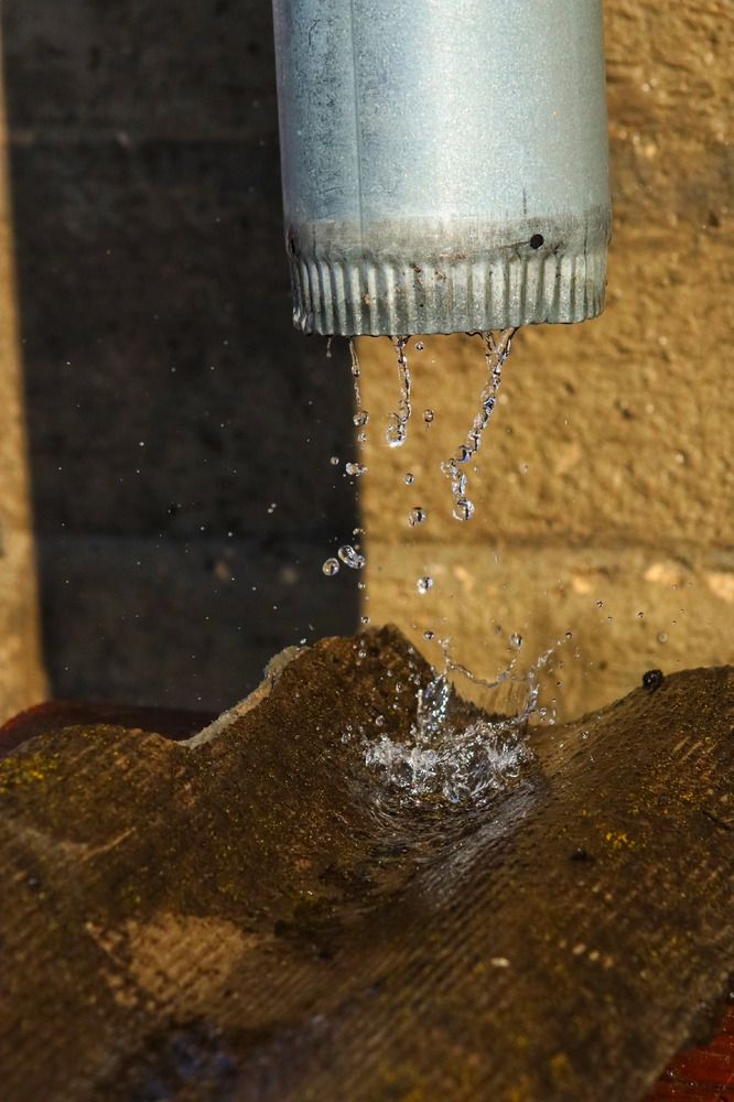 Фотография автора Роман Савин