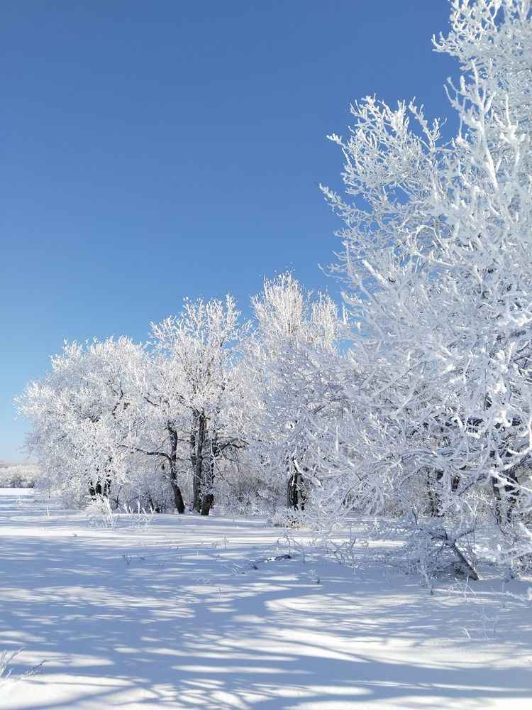 Photograph by Ольга Чернова