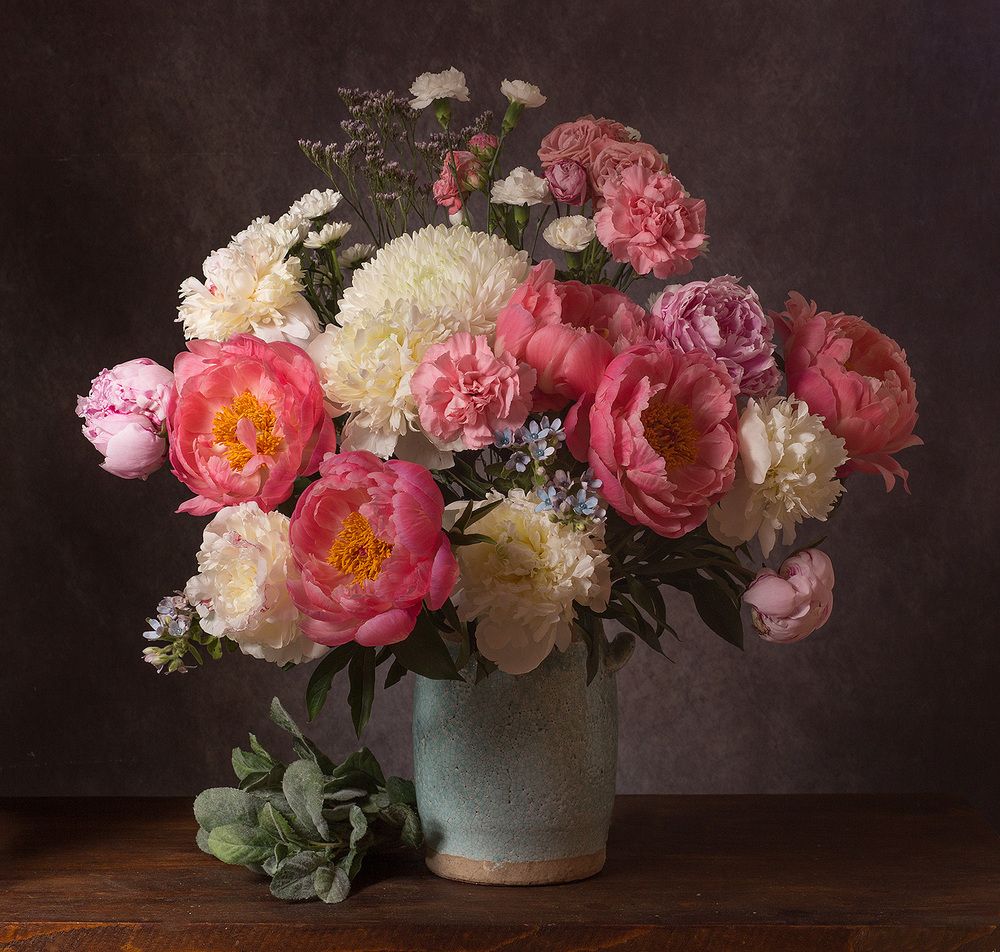 Фотография автора Алина Ланкина