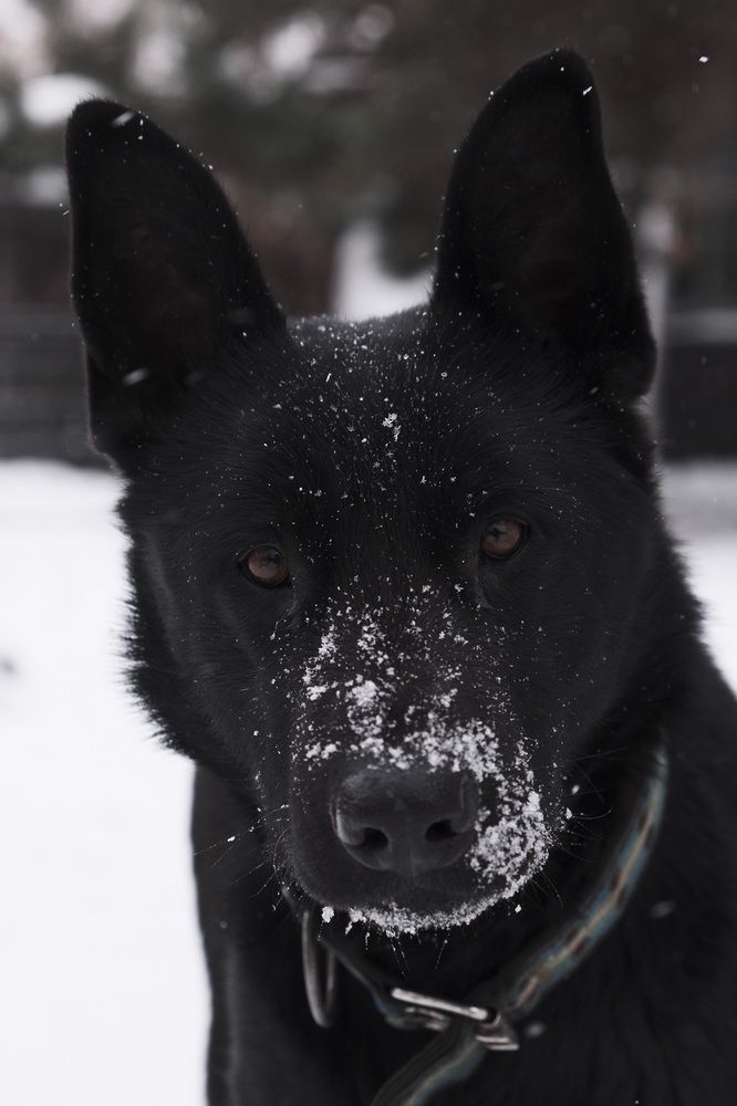 Photograph by Яна Истоцкая