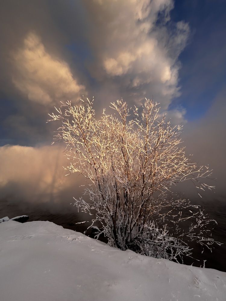 Photograph by Кристина Данилина