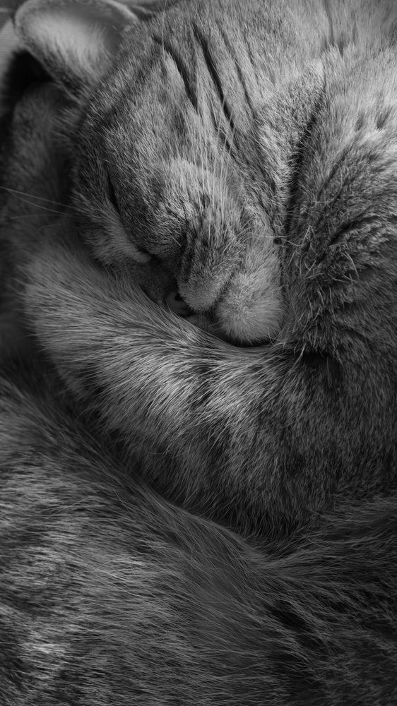 Photograph by Яна Истоцкая