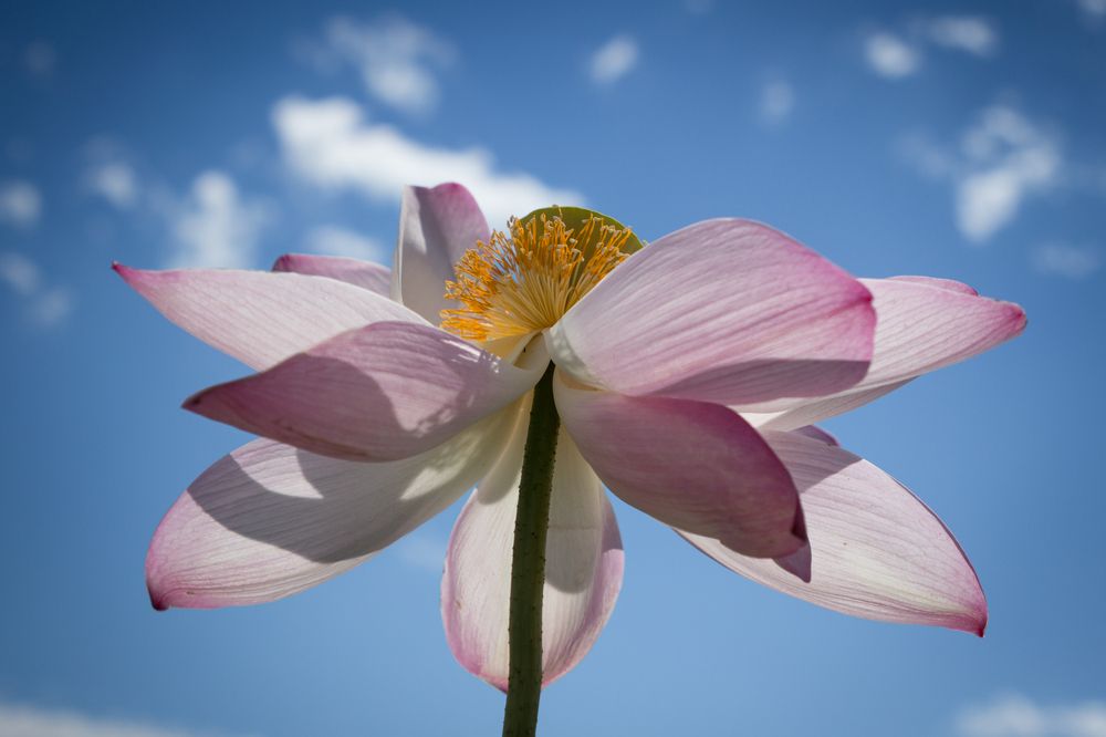 Photograph by Елена Кондратьева