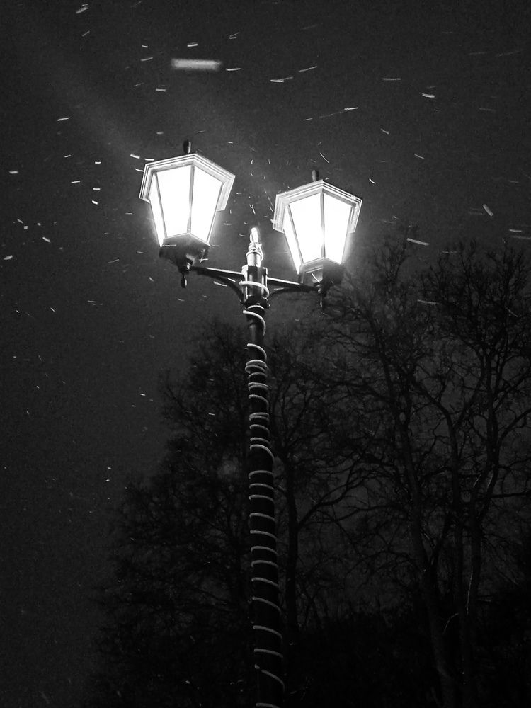 Photograph by Юлия Локалова