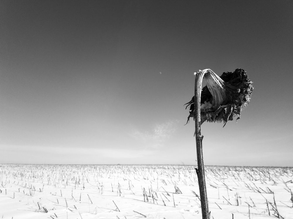 Photograph by Анна Любимова