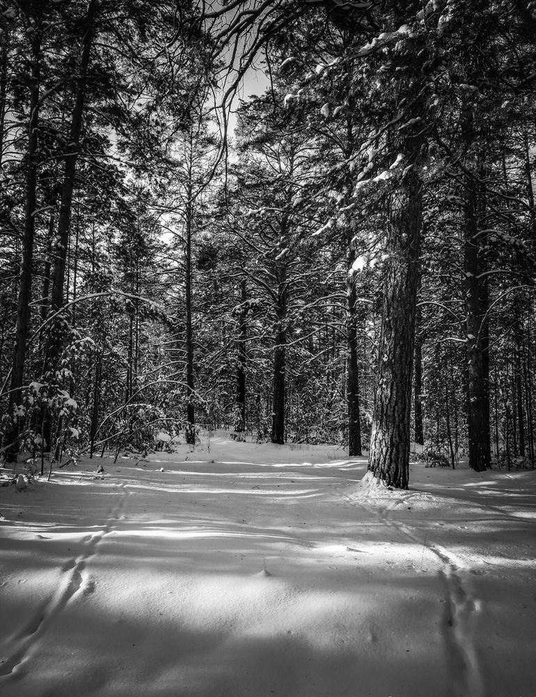 Photograph by Александр Мороз