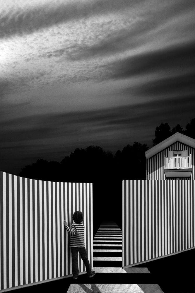 Photograph by Светлана