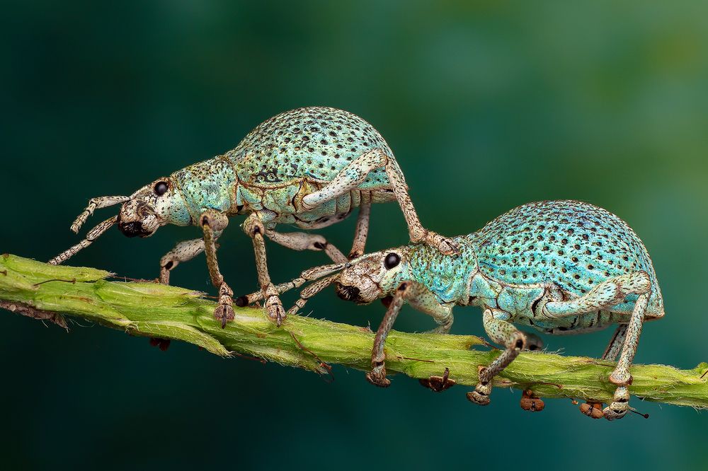 Photograph by Marcus Kam