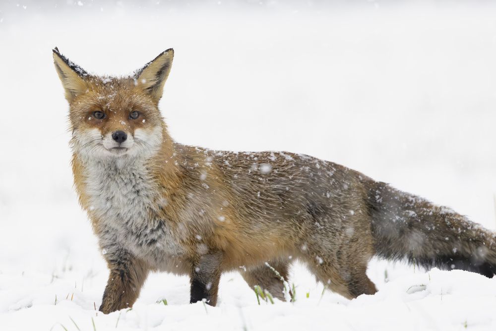 Photograph by Ellen Lichtenheldt