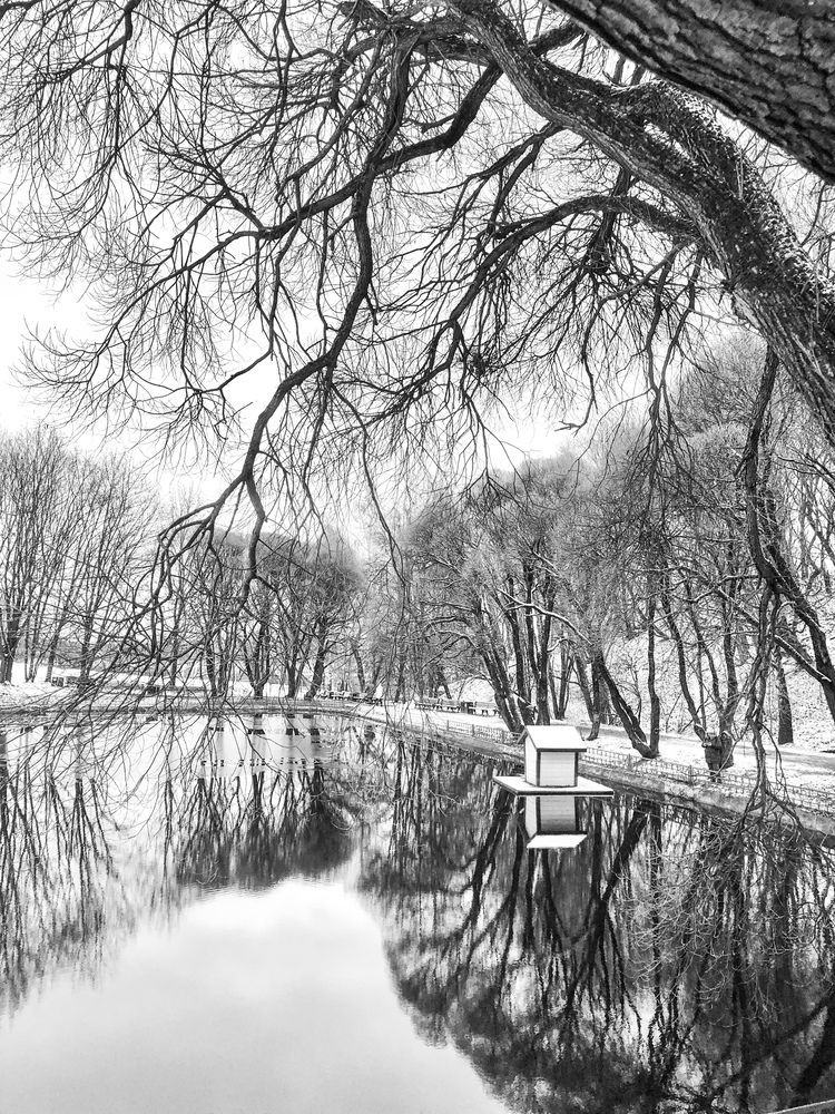 Photograph by Светлана Сычева